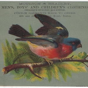 Moulton en Bradley kinderkleding Boston Bird Branch grote Victoriaanse Trade Card antieke advertentie