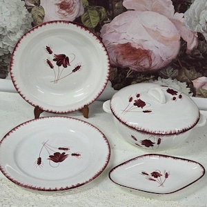 set di stoviglie vintage Salins-les-Bains, Francia, modello Atene