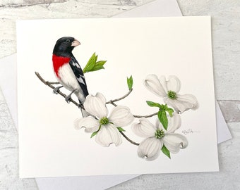 Rose-breasted Grosbeak with Flowering Dogwood Watercolor Print