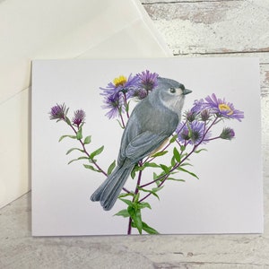 Tufted Titmouse Greeting Card