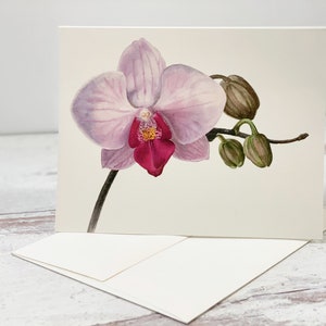 Orchid I Card
