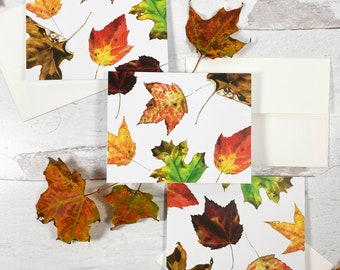 Fall Leaf Card Set