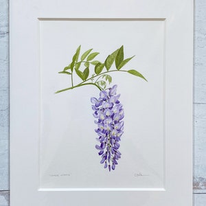 Original Watercolor Wisteria Painting