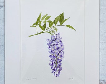 Original Watercolor Wisteria Painting