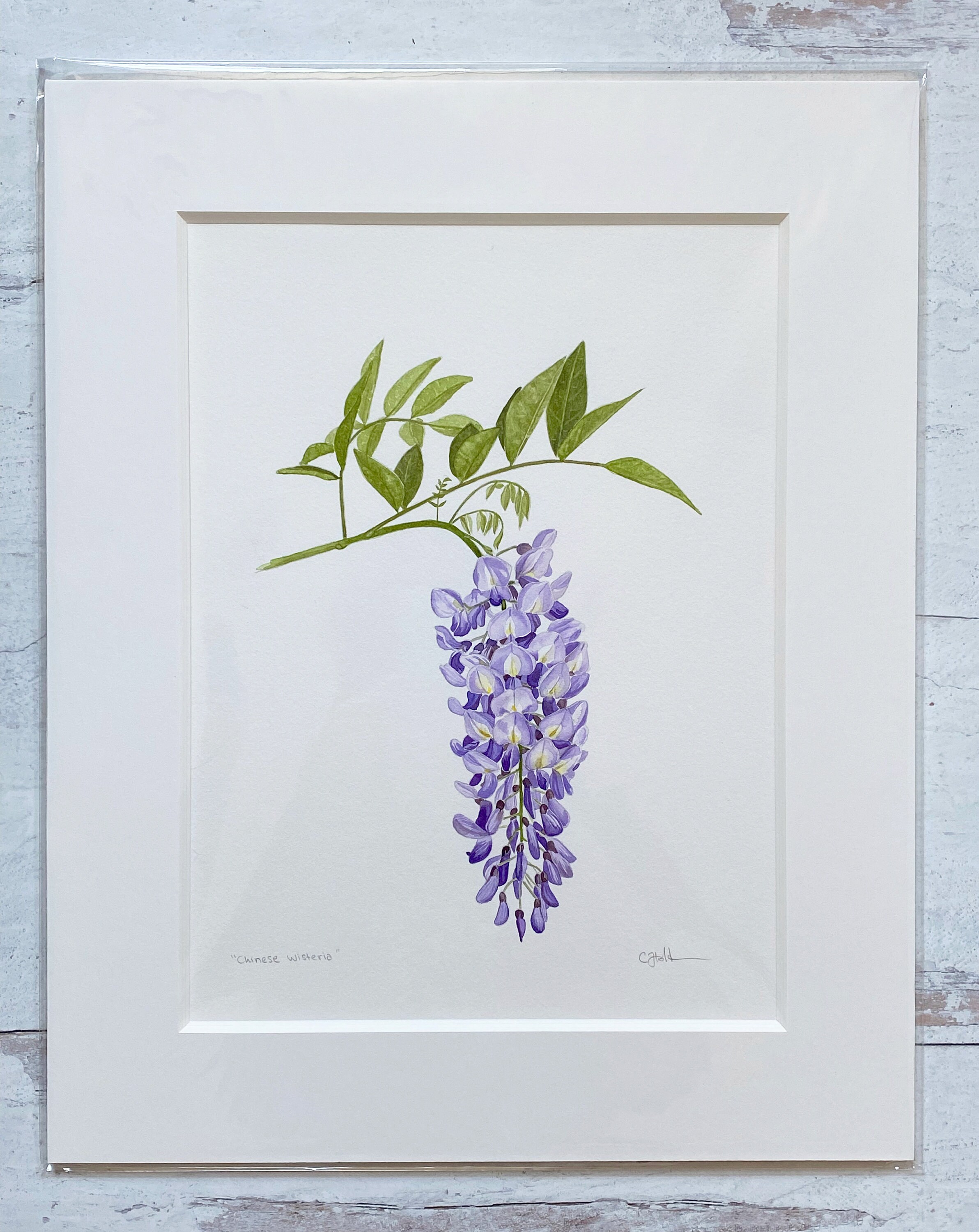 Original Watercolor Wisteria Painting - Etsy