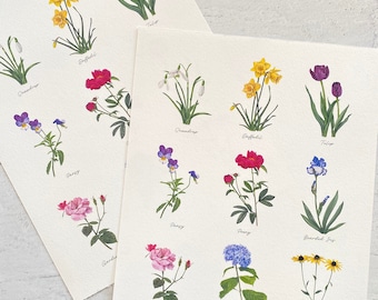 Watercolor Botanical Print