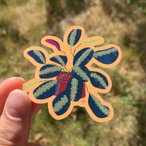Wildly Maranta - Glossy Vinyl Sticker