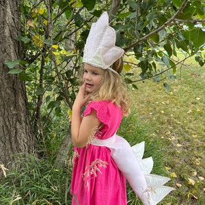 Triceratops Costume: Toddler Dinosaur Tail & Headpiece