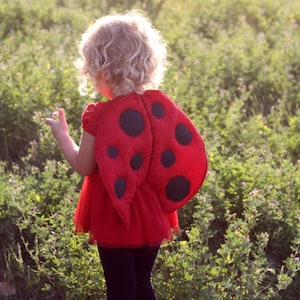 Lady bug costume, handmade dress up gift for toddlers.  Lady bug halloween costume,  lady bug dress up gift, ladybug wings