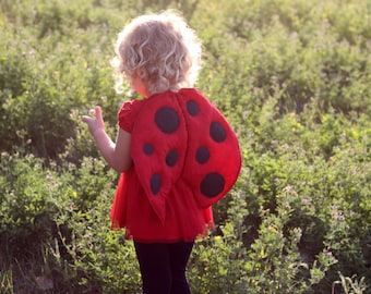 Lady bug costume, handmade dress up gift for toddlers.  Lady bug halloween costume,  lady bug dress up gift, ladybug wings