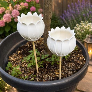 Peut inclure: Deux tuteurs de jardin en céramique blanche en forme de fleurs de lotus, chacun présentant un design de bol arrondi à plusieurs pétales. Les têtes de fleurs blanches sont montées sur de fines tiges en bois clair, plantées dans un grand pot gris.