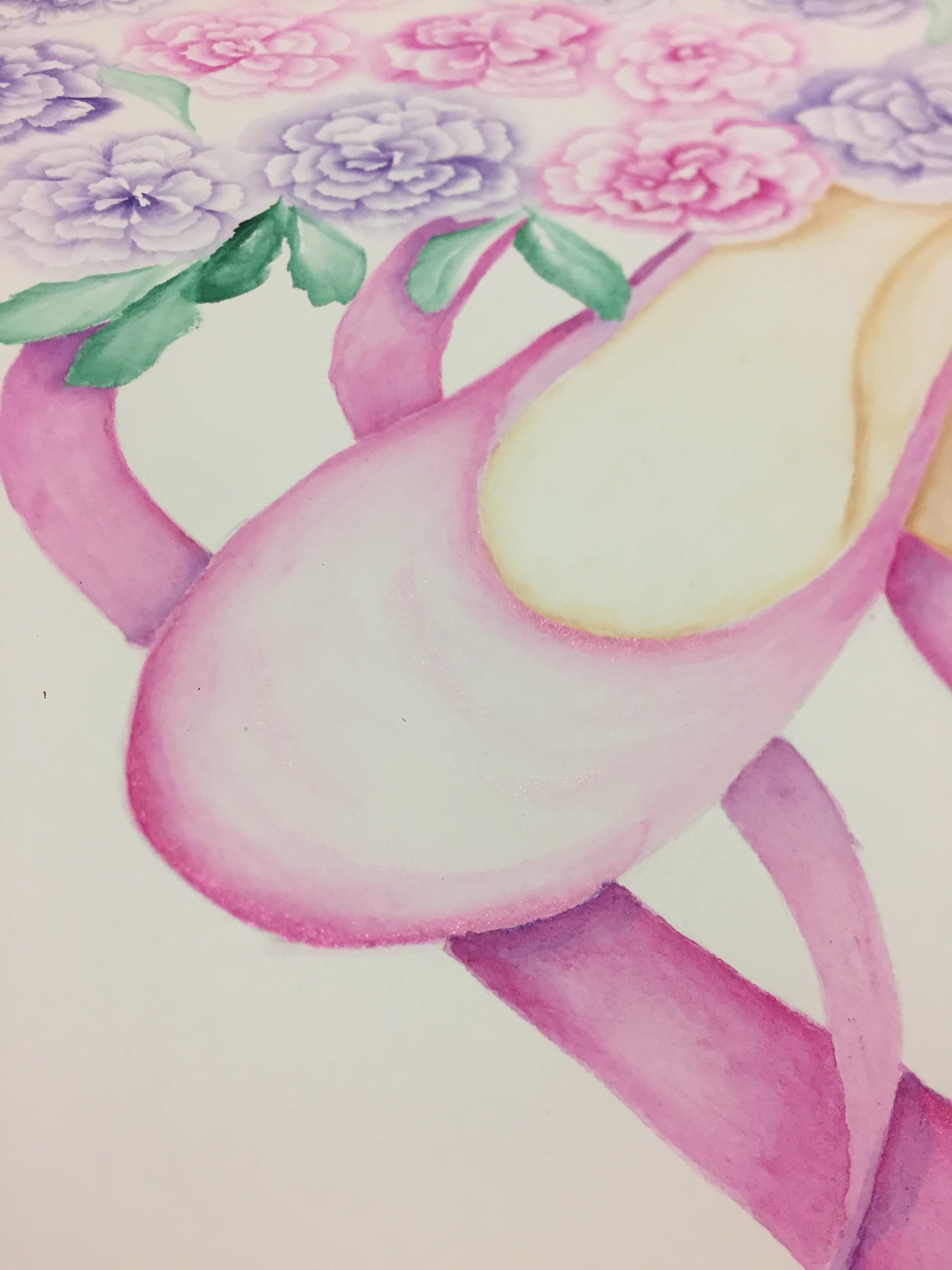 ballet shoes