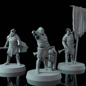 以下が含まれることがあります： 旗を持った戦士、剣と盾を持った戦士、剣と斧を持った戦士の3体のグレーのプラスチック製ファンタジーミニチュア。ミニチュアは丸い台座の上に立っています。