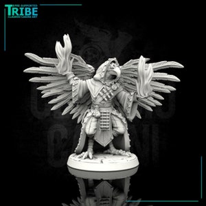 Opties voor Aarakocra/Kenku/Birdfolk Warlock/Tovenaar, gevleugelde en vleugelloze | Claudio Casino | Kerkers en draken | Fantasie | DnD | Miniaturen