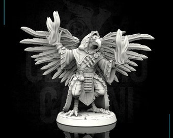 Aarakocra Male Wizard Gufaar Eye Cult Gryphkin 28mm Miniatures for ...
