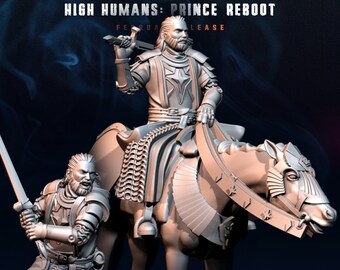 High Human Prince | Davale Games | RESIN | Fantasy | DnD | RPG | Bordsspel | Spel | Miniatyrer
