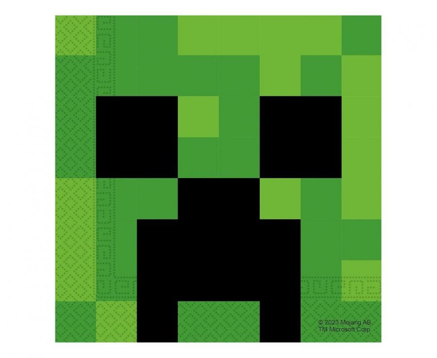 Minecraft Party Supplies Full Set