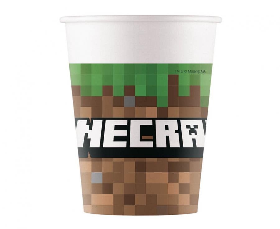 Minecraft Party Supplies Full Set