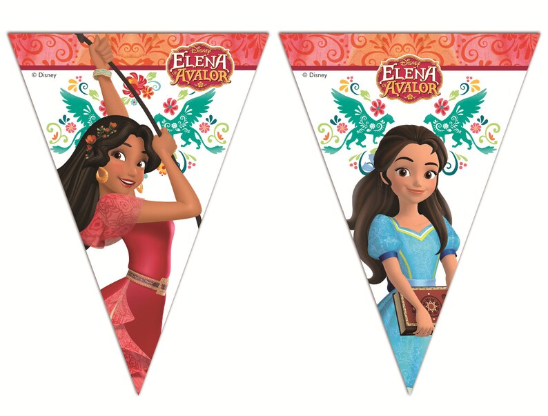 Elena of Avalor Party Decor Supplies Tableware Balloons Napkins Plates Tablecover Banner