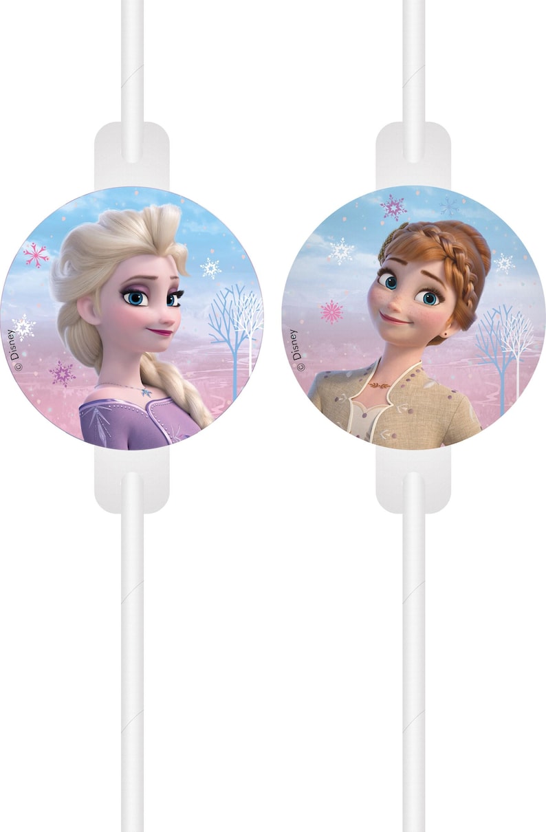 Frozen 2 Birthday Party Supplies: Plates, Cups, Balloons, Napkins, Table Cover Party Decor 1 x 4 paper straws