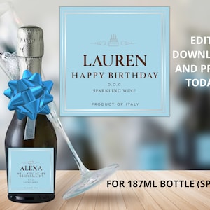 Custom Prosecco Champagne Label, Custom Champagne Label, 187ML, Personalized gift, Bridesmaid gift, Champagne gifts, Housewarming, Wedding