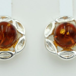 Amber Stud Earrings 925 Silver Jewelry Earrings Amber Jewelry Top Noble