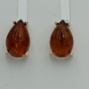 Noble Amber Stud Earrings Unisex 925 Silver Earrings Amber from Lithuania
