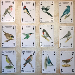 Vogels in de achtertuin ruilen kaarten, speelkaarten, kies je favoriete vogel, plakboekvoorraad, collage, junkjournaal, ATC, vintage papier, kortstondig vintage