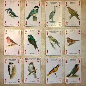 May include: A deck of playing cards featuring illustrations of different bird species. Each card has a different bird species with its name and size in inches and centimeters. The cards are numbered from Ace to Queen and are in the suit of diamonds.