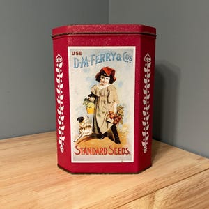 Vintage D M Ferry & Co Tin, Ferry Seed Company, semi di fiori di scelta, riproduzione del 1995, contenitore decorativo, kitsch da cucina, giallo e rosso