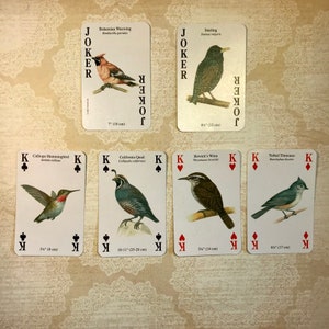 May include: A set of playing cards featuring different bird species. The cards include a Joker with a Bohemian Waxwing, a Joker with a Starling, a King of Spades with a Calliope Hummingbird, a King of Spades with a California Quail, a King of Hearts with a Bewick's Wren, and a King of Diamonds with a Tufted Titmouse. The cards are printed with the bird's name and scientific name, as well as their size in inches.