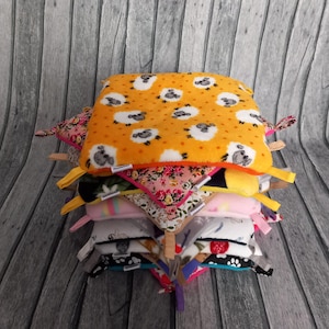 4-piece hammock surprise package for guinea pigs