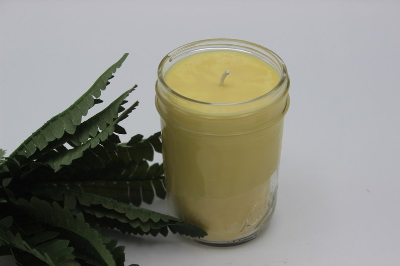 Oakmoss and Amber Soy Candle