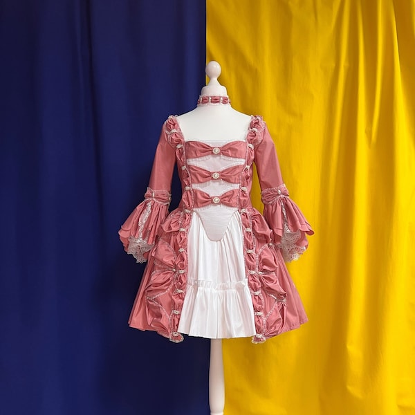 Rose Rokoko Minikleid Marie Antoinette 18.Jh