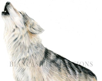 Original Pencil Sketch Howling Wolf - 6.5x9.5 - Etsy