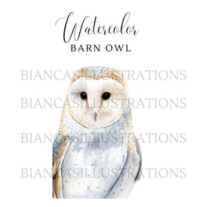 Chouette effraie aquarelle Clipart | | peint à la main Illustration | | graphique Art animalier | Téléchargement instantané | Fond transparent | Fichier PNG
