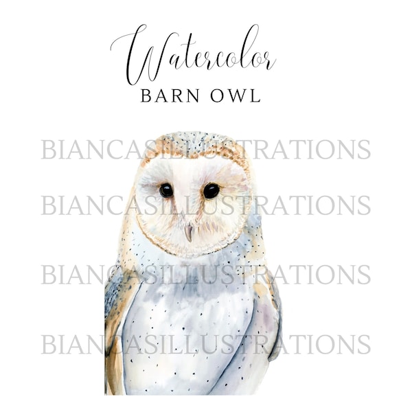 Barn Owl Watercolor Clipart | Hand Painted | Illustration | Graphic | Wildlife Art | Instant Download | Transparent Background | PNG File