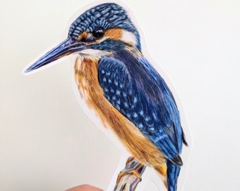 Sticker martin-pêcheur, vinyle oiseau crayon de couleur, autocollant animal sauvage découpé, pour bouteilles d'eau, agendas et ordinateurs portables