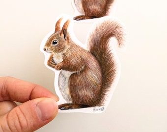 Red Squirrel Sticker, Colored Pencil Squirrel Vinyl Sticker, Wildlife Die Cut Sticker, For Water Bottles, Planners and Laptops