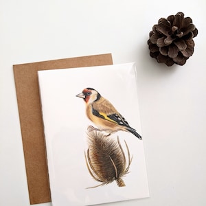 Carte de vœux de chardonneret, Carte d’œuvres d’art animalier, Illustration d’oiseaux, Cadeau, Carte de vœux 5 « x7 », Vierge à l’intérieur