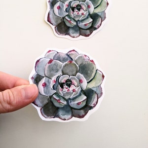 Aquarel Sappige Sticker, Vinyl Plant Sticker, Voor flessen water, laptops, tijdschriften