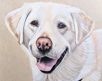 Custom Colored Pencil Pet Portraits, 9x12 inch. on Toned Tan Paper