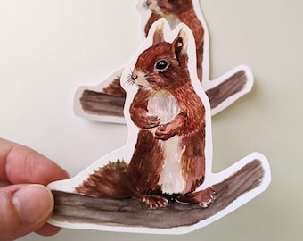 Squirrel Stickers, Adorable Squirrel Vinyl Stickers, For Water Bottles and Laptops