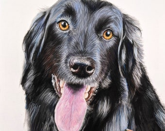 Custom Pastel Pet Portraits, Realistic Dog and Cat Commissions, Detailed Pet Portrait From Photo