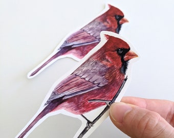 Cardinal Sticker, Watercolor Cardinal Bird Vinyl Sticker, For Water Bottles and Laptops, ONLY one unless you buy more