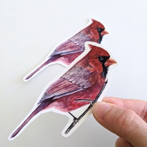 Cardinal Sticker, Watercolor Cardinal Bird Vinyl Sticker, For Water Bottles and Laptops, ONLY one unless you buy more