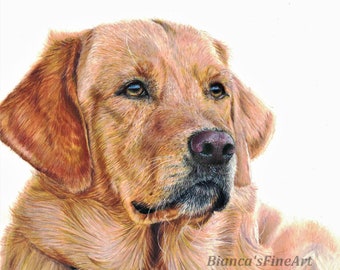 Custom Colored Pencil Pet Portraits, Realistic Dog and Cat Commissions, Detailed Pet Portrait From Photo