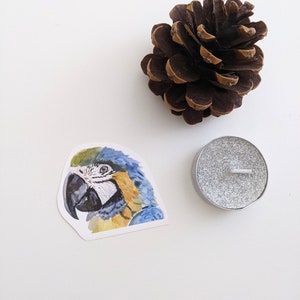 Pegatina de Guacamayo Azul / Pegatina de Vinilo / Pintada a Mano / Arte de Acuarela / Pegatina de Vinilo / Regalo de Pájaro / 2 "x2"