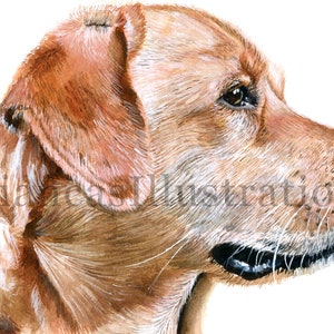 Custom Watercolor Pet Portraits, Realistic Dog or Cat Portrait, Pet Lovers Gift, Dog Painting From Photo