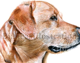 Custom Watercolor Pet Portraits, Realistic Dog or Cat Portrait, Pet Lovers Gift, Dog Painting From Photo